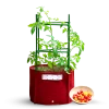Steve & Leif Gardening Supplies Universal Tomato Planter Stacking Kit 150cm (Pot NOT Included)