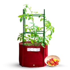 Steve & Leif Gardening Supplies Universal Tomato Planter Stacking Kit 150cm (Pot NOT Included)
