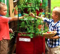 Steve & Leif 57L Maroon Big Tomato Fabric Planter (42 X 41cm) With Stacking Kit Red