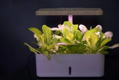 Others Gardening Supplies Dual Function Intelligent Seed Planter 12s