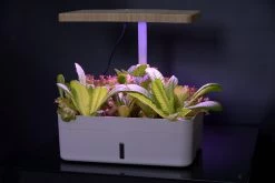 Others Gardening Supplies Dual Function Intelligent Seed Planter 12s