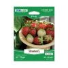 Steve & Leif Strawberry Seeds Gardening Supplies