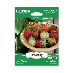 Steve & Leif Strawberry Seeds Gardening Supplies