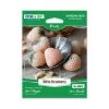 Steve & Leif White Strawberry Seeds Gardening Supplies