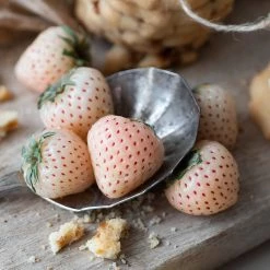 Steve & Leif White Strawberry Seeds Gardening Supplies