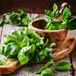 Steve & Leif Large Leaf Basil Seeds Gardening Supplies