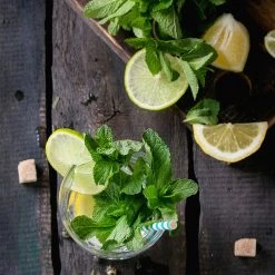 Steve & Leif Peppermint Seeds Gardening Supplies