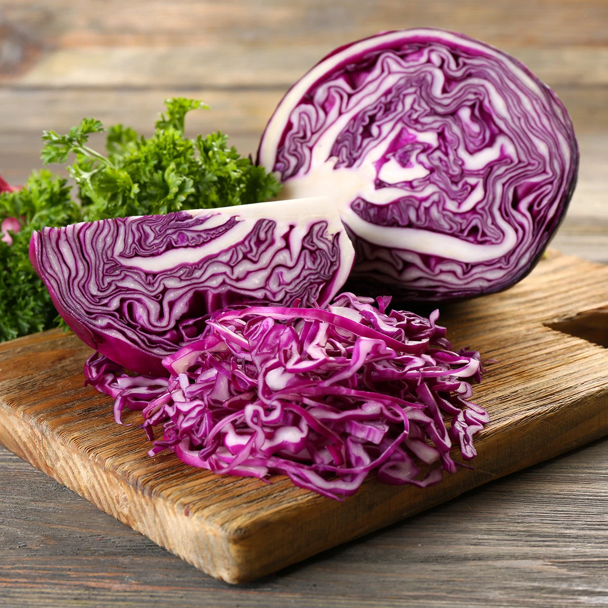 Steve & Leif Purple Cabbage Seeds 5 Steve & Leif Purple Cabbage Seeds