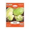 Steve & Leif Cabbage Seeds Gardening Supplies