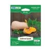 Steve & Leif Butternut Squash Seeds Gardening Supplies