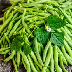 Steve & Leif Gardening Supplies French Bean Seeds