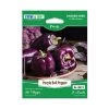 Steve & Leif Purple Bell Pepper Seeds