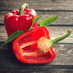 Steve & Leif Red Bell Pepper Seeds