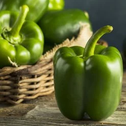 Steve & Leif Green Bell Pepper Seeds