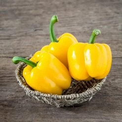Steve & Leif Gardening Supplies Yellow Bell Pepper Seeds