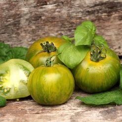 Steve & Leif Yellow Tiger Stripe Tomato Seeds Gardening Supplies