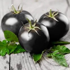 Steve & Leif Black Cherry Tomato Seeds Gardening Supplies