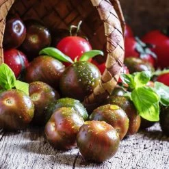 Steve & Leif Gardening Supplies Purple Cherry Tomato Seeds