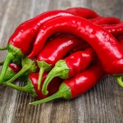 Steve & Leif Red Chili Pepper Seeds Gardening Supplies 7 Steve & Leif Red Chili Pepper Seeds Gardening Supplies