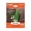 Steve & Leif Spring Onion Seeds