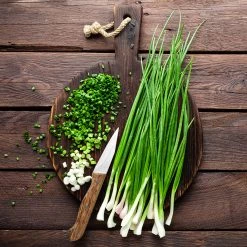 Steve & Leif Spring Onion Seeds