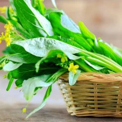 Steve & Leif Choy Sum Seeds Gardening Supplies