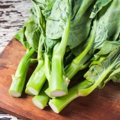 Steve & Leif Gardening Supplies Chinese Kale Seeds 7 Steve & Leif Gardening Supplies Chinese Kale Seeds