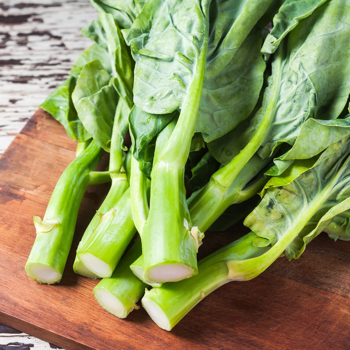 Steve & Leif Gardening Supplies Chinese Kale Seeds 5 Steve & Leif Gardening Supplies Chinese Kale Seeds