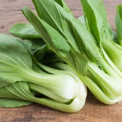 Steve & Leif Pak Choy Seeds Gardening Supplies 7 Steve & Leif Pak Choy Seeds Gardening Supplies