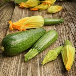 Steve & Leif Zucchini Seeds Gardening Supplies
