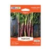 Steve & Leif Purple Carrot Seeds