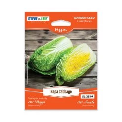 Steve & Leif Napa Cabbage Seeds Gardening Supplies
