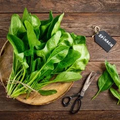 Steve & Leif Spinach Seeds Gardening Supplies 7 Steve & Leif Spinach Seeds Gardening Supplies