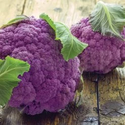 Steve & Leif Purple Cauliflower Seeds