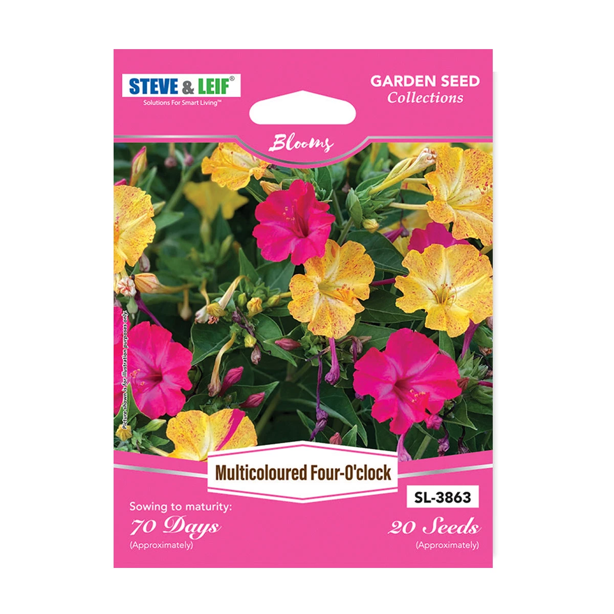 Steve & Leif Multicoloured Four-O'clock Seeds 3 Steve & Leif Multicoloured Four-O'clock Seeds