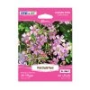 Steve & Leif Pink Chalk Plant Seeds Gardening Supplies