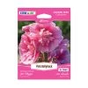 Steve & Leif Pink Hollyhock Seeds Gardening Supplies