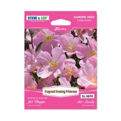 Steve & Leif Fragrant Evening Primrose Seeds