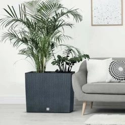 Prosperplast Rato Case Basket Weave Pot (580x180x498mm) Gardening Supplies