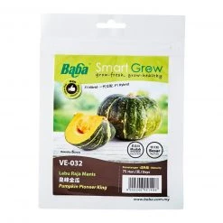 Baba Pumpkin Pioneer King Seeds VE-032 (0.5Gm)