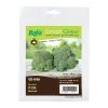 Baba Gardening Supplies Broccoli Seeds (30 Seeds)