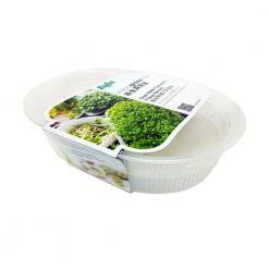 Baba Gardening Supplies Clear Microgreen Box