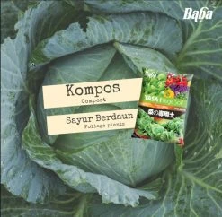 Baba Leafy Vegetable Bundle Pack [Limited Stocks!]