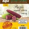 Baba VE-064 Purple Sweet Corn Seeds (~10 Seeds)