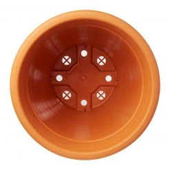 Baba Bittergourd Bundle Pack [Limited Stocks!] Gardening Supplies