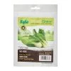 Baba Dwarf Type Pak Choy Seeds VE-003 (10GM)
