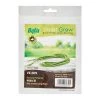 Baba Oily Green Long Bean Seeds (5GM)