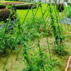 Steve & Leif DIY Gardening Plant Support Stake