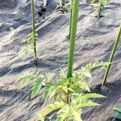 Steve & Leif DIY Gardening Plant Support Stake