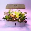 Others Gardening Supplies Dual Function Intelligent Seed Planter 12s
